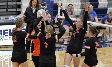Volleyball Celebration